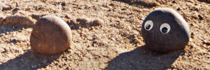 paodevacilo's profile banner image