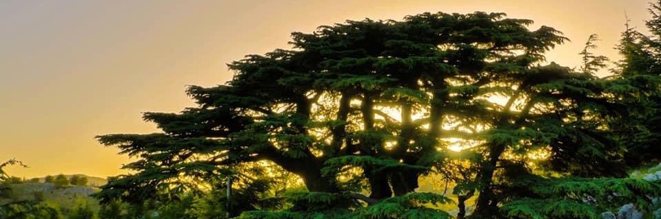 Raed2883's profile banner image