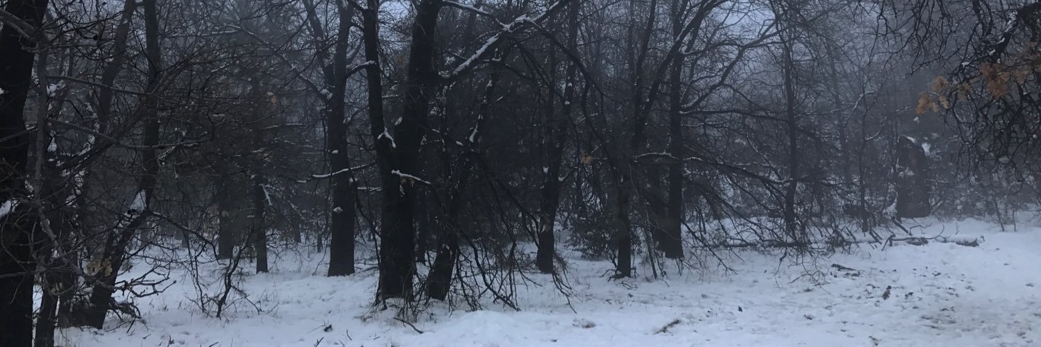 EstradaDenielle's profile banner image