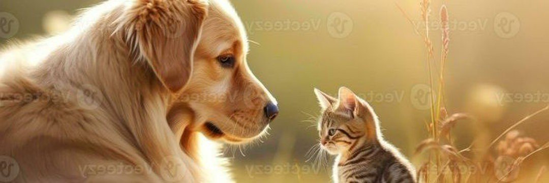 longphan73's profile banner image