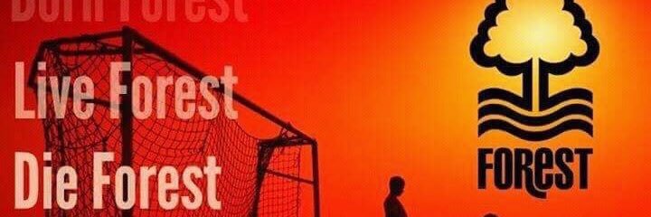 m15tryman's profile banner image