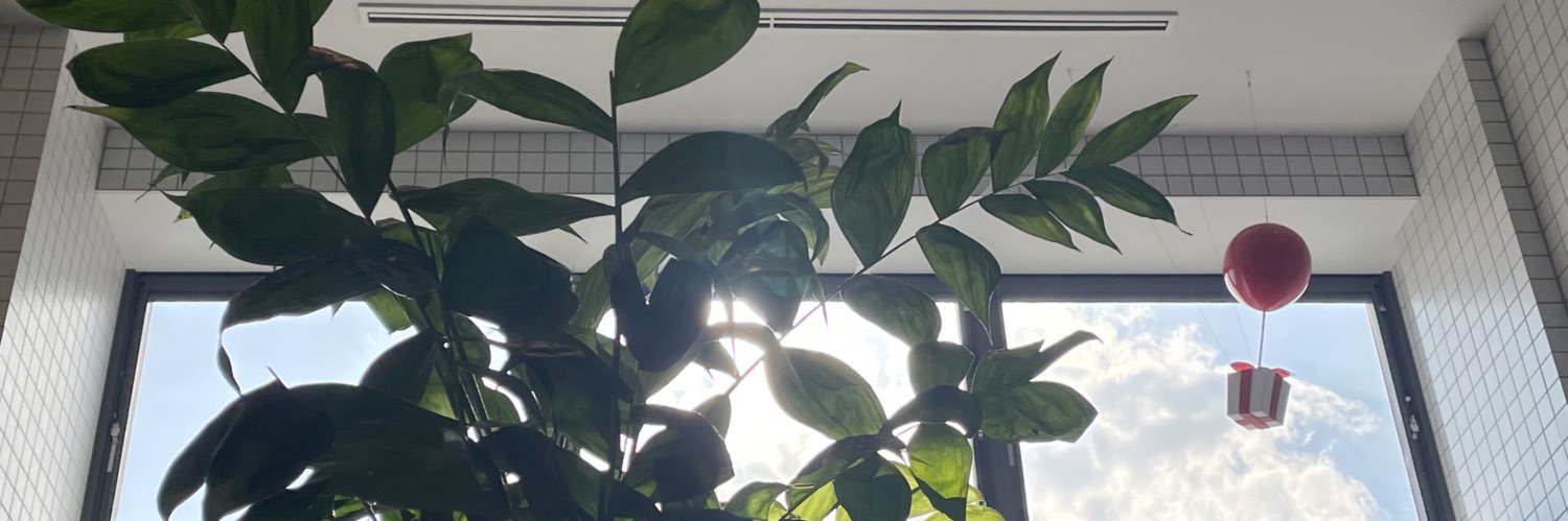 ri_nya_sa's profile banner image