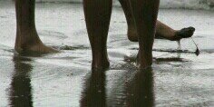 Mel_ysa21's profile banner image