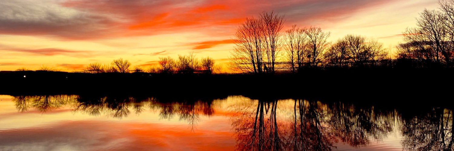 kay schofield banner