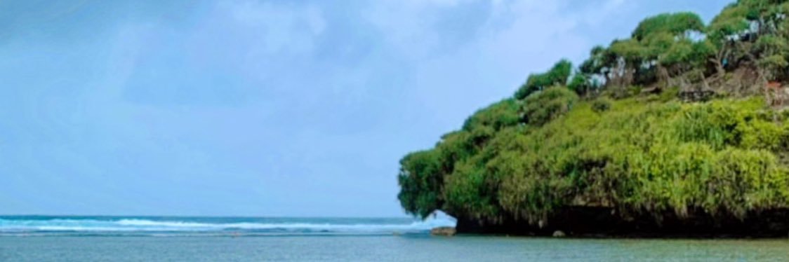 kikimareta's profile banner image