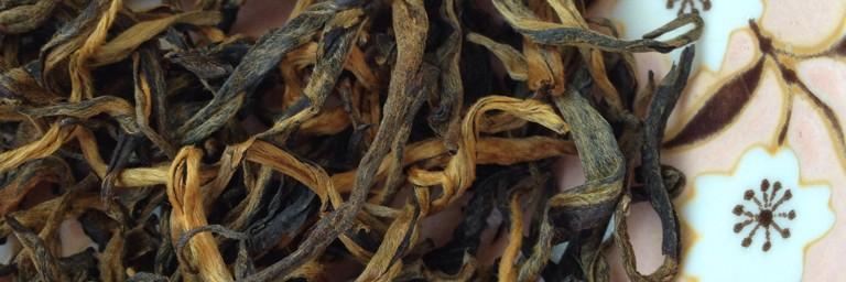 cactuscookie's profile banner image