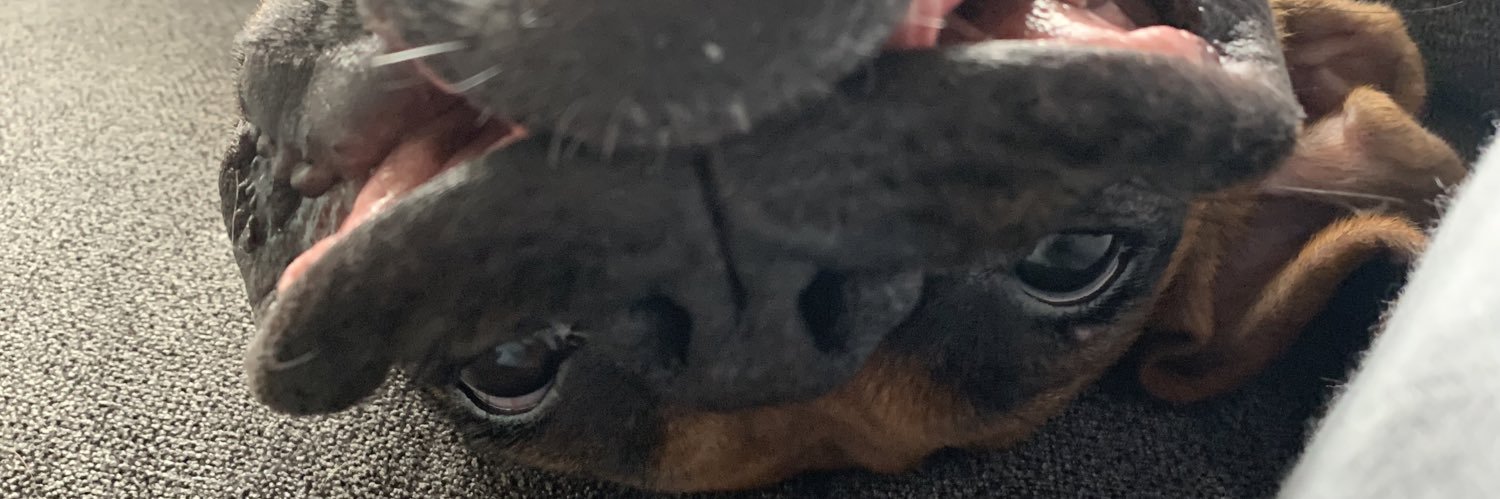 brookebealee's profile banner image