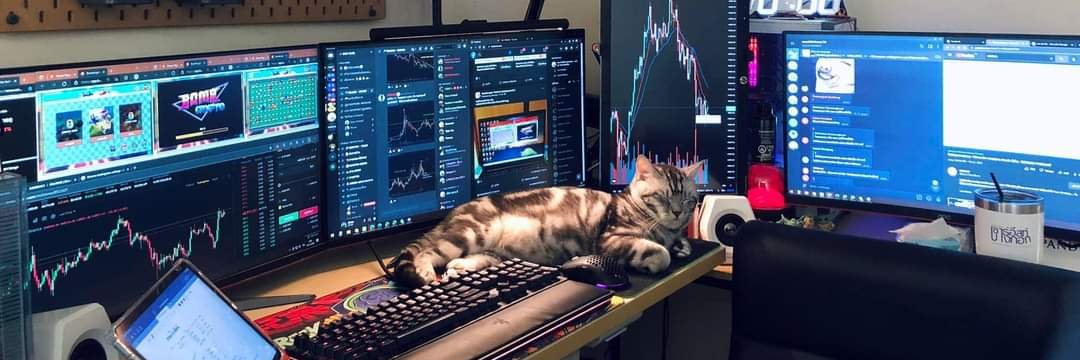 ratubulliy's profile banner image