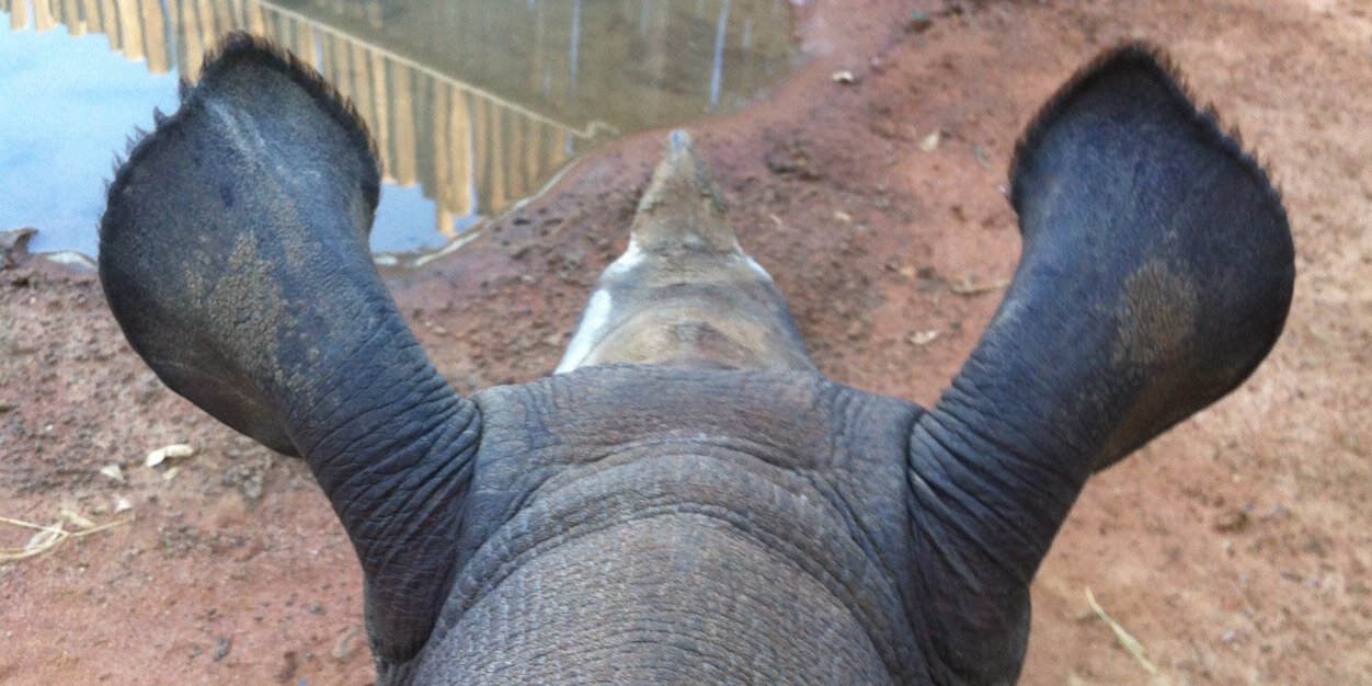 4AnimalWelfare's profile banner image