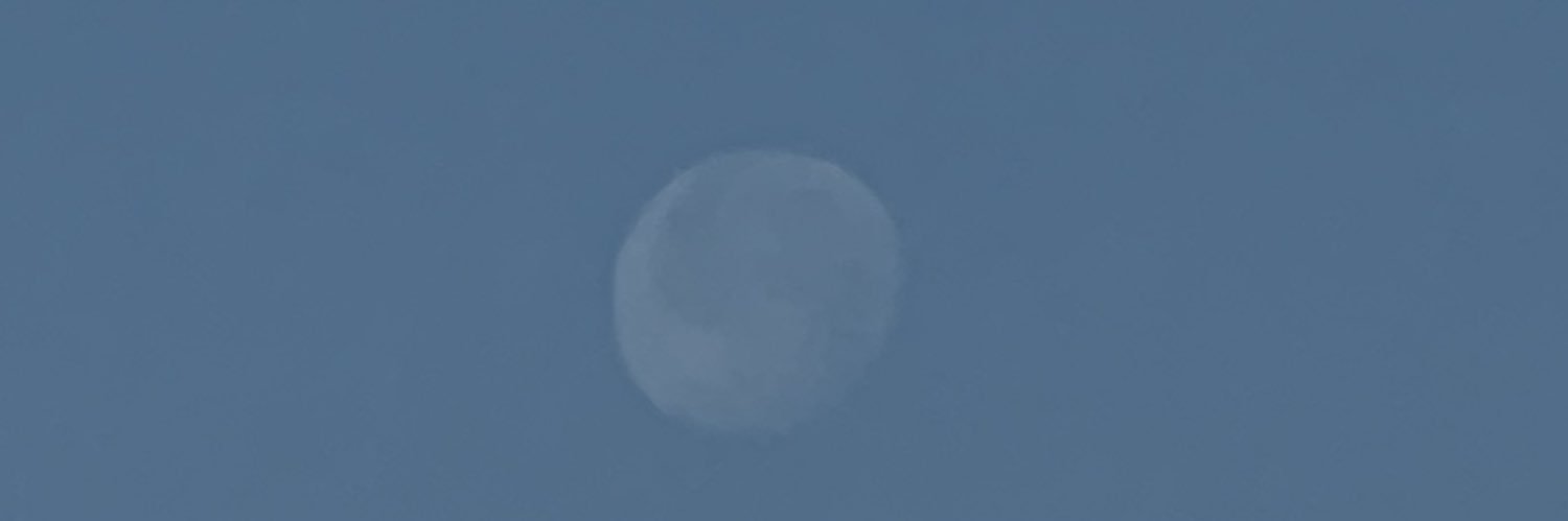 ADELAPOPESCU's profile banner image