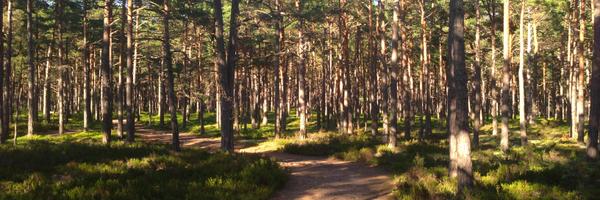 krutis65 Profile Banner