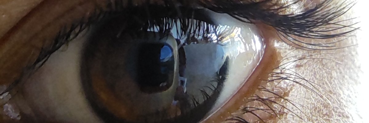 zerkimonaim's profile banner image