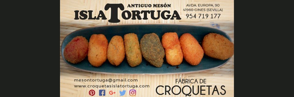 MesonTortuga's profile banner image