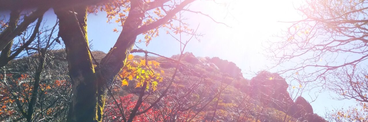 nacchan1130's profile banner image