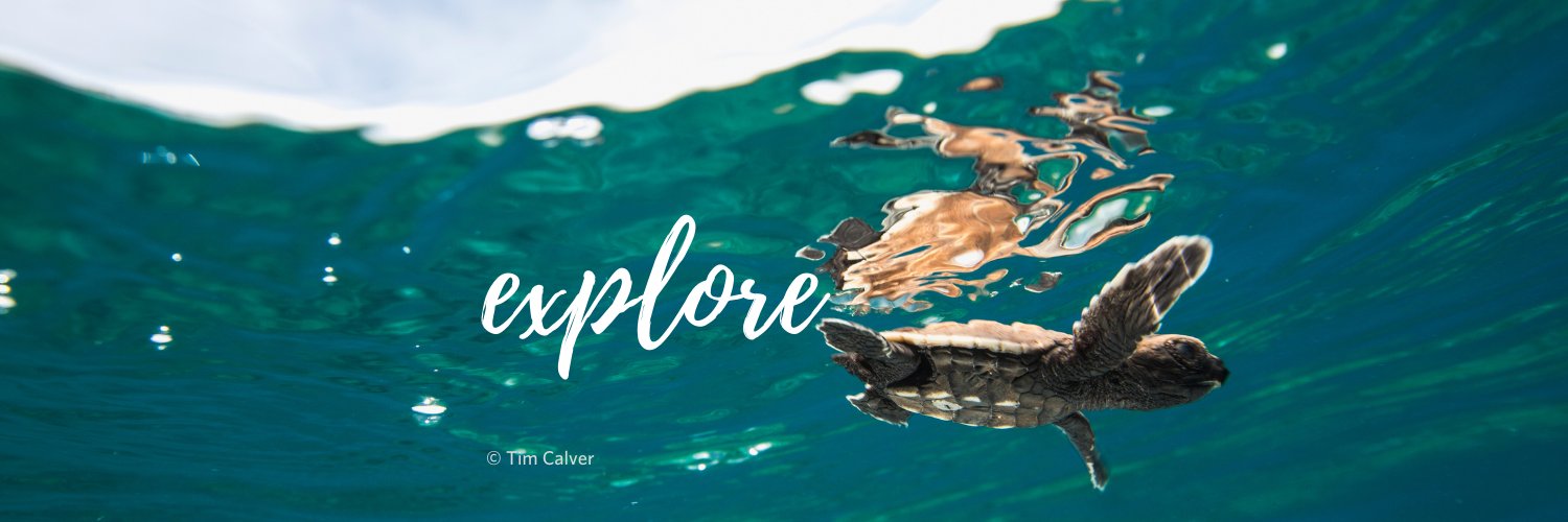 NatureConservancySC banner