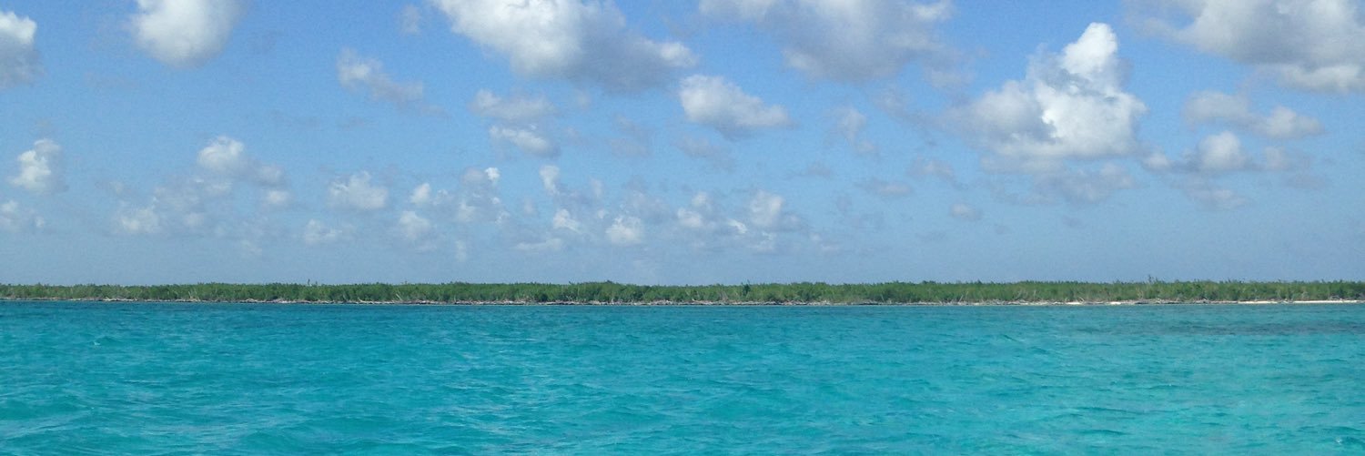 lilmorrisonnn's profile banner image