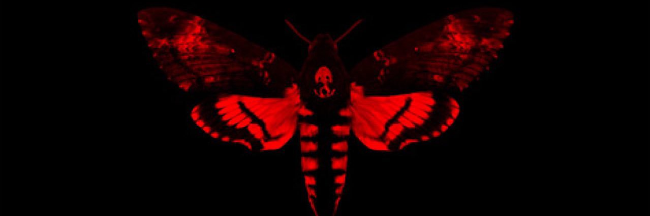 enigmaeris's profile banner image