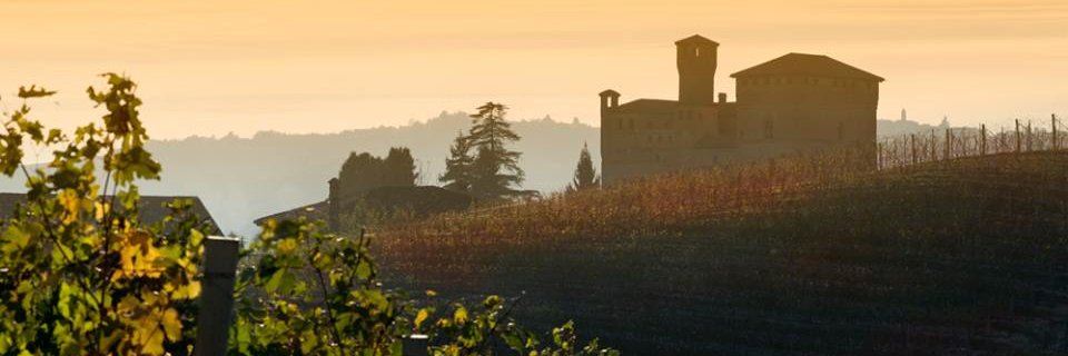 CGrinzane's profile banner image