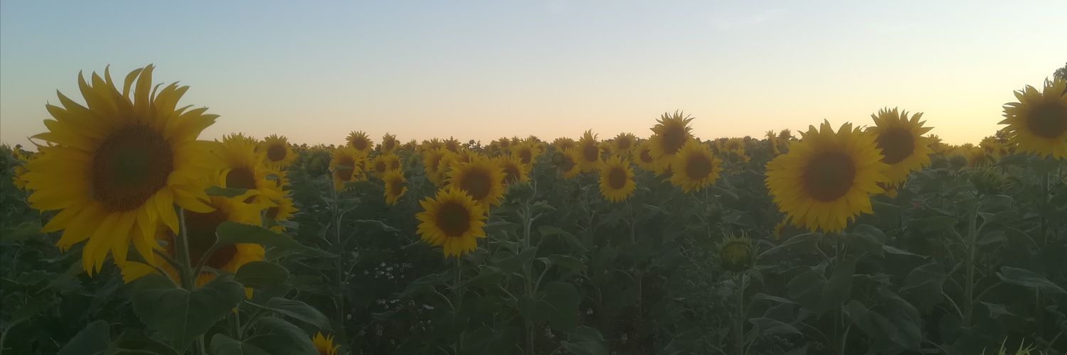 MaggaHellman's profile banner image