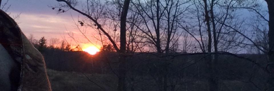 chloezeman's profile banner image