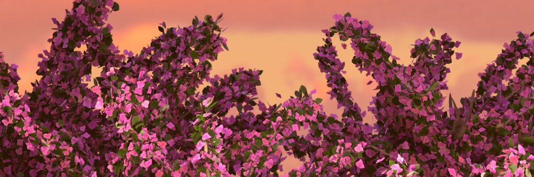 PapitiTrb's profile banner image