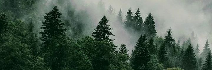 CassandraMariaA's profile banner image