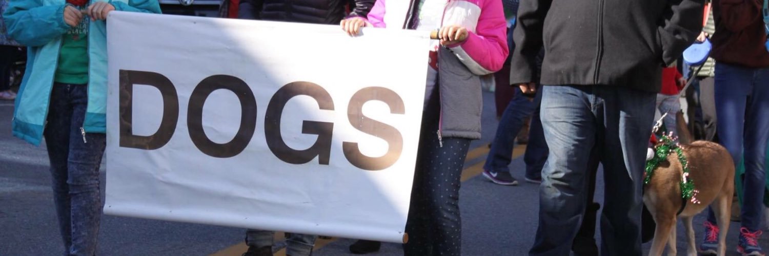 ShetownProblems's profile banner image