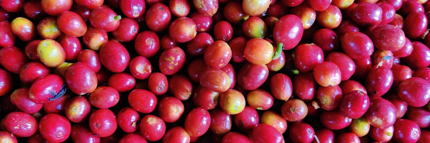 Philippe Weiler banner