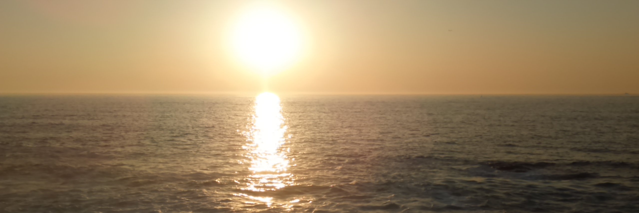 Tasillo_'s profile banner image