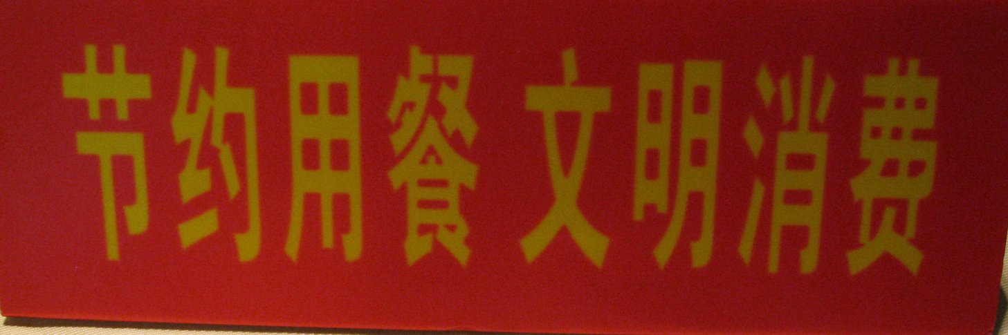 panda_dreamer's profile banner image
