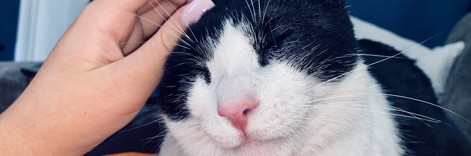 LaurenKayFox's profile banner image