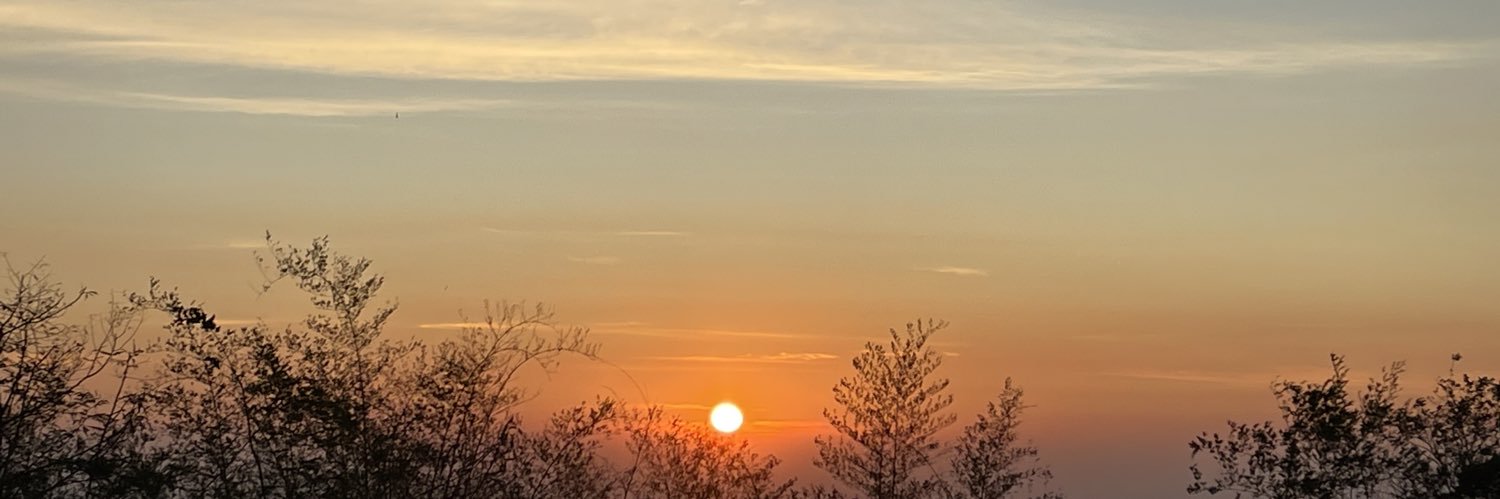 pol_mim's profile banner image