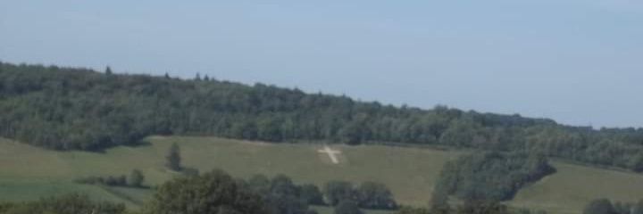Michelle Lowe's banner