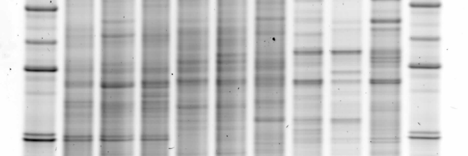 Achim Schmalenberger banner