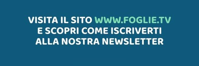 FOGLIETV's profile banner image