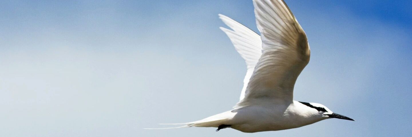 Nirmalkantharia's profile banner image