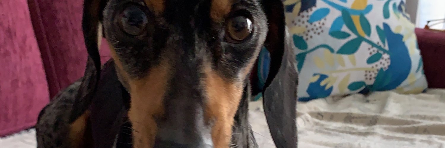 franregojo's profile banner image