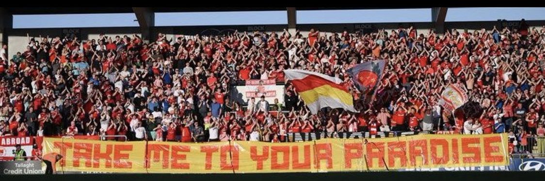 Mike McCarthy banner