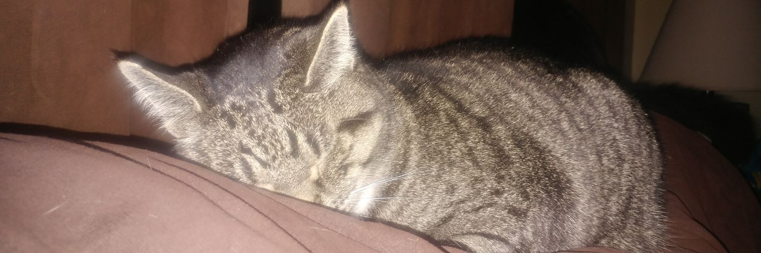 Ashleigh Travers (she/they) banner