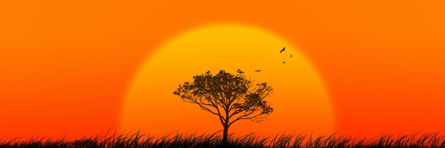 augumandy's profile banner image