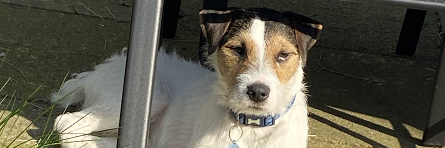 frenchie316's profile banner image