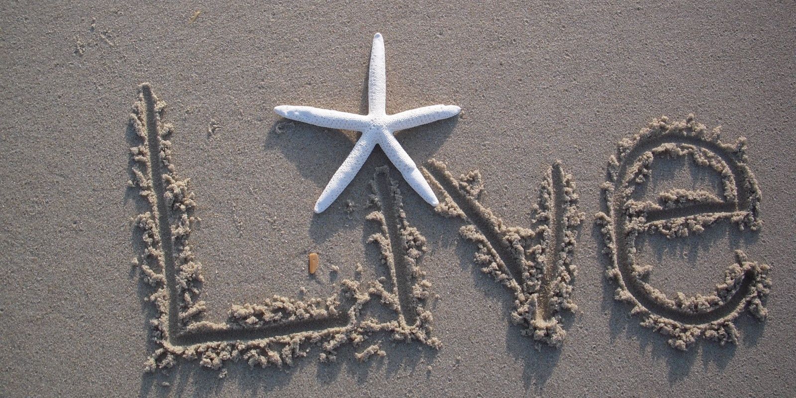 Adriana Fletes, M.S.Ed banner