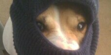 spenzel's profile banner image