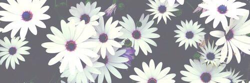 rechi123's profile banner image