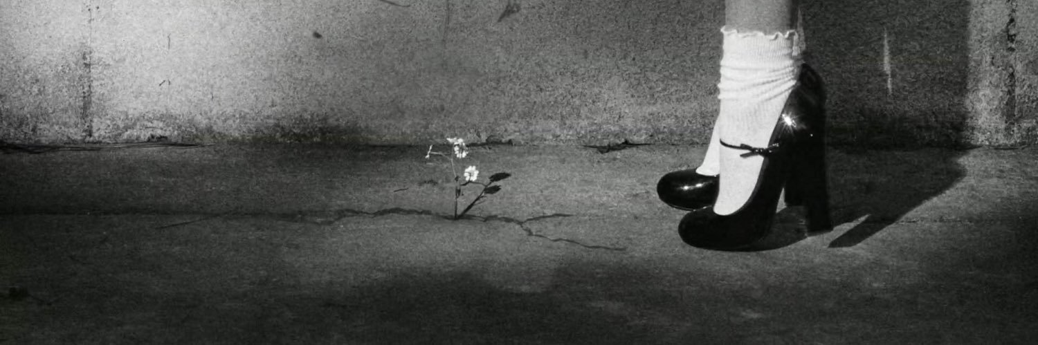 Alineada_'s profile banner image
