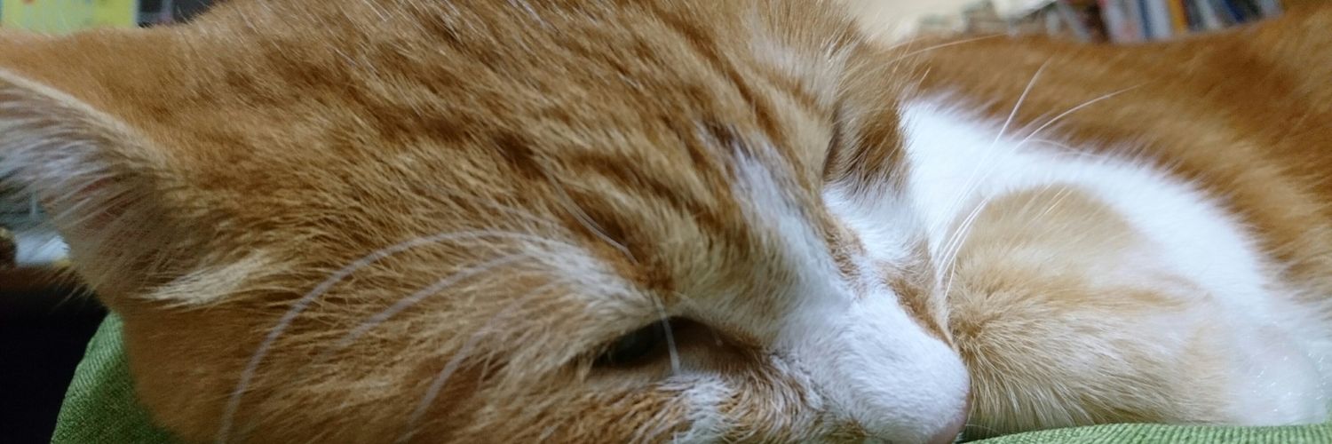 day_rag's profile banner image