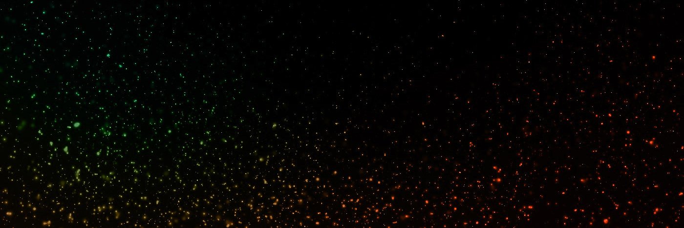 youngandbrave's profile banner image