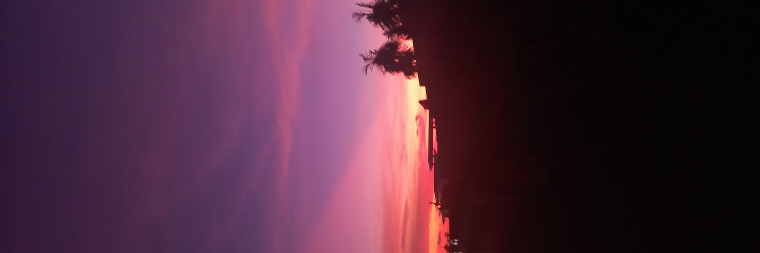 Fitrisari_17's profile banner image