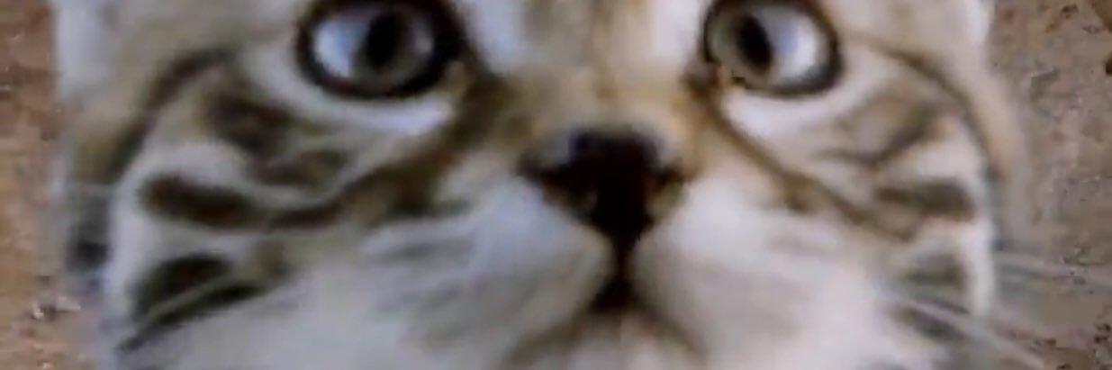 dwki's profile banner image