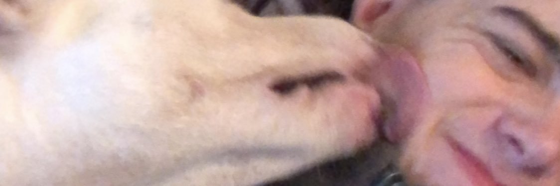 Nobcopter's profile banner image